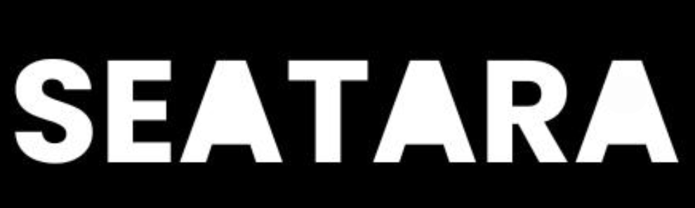 Seatara digital marketing agency providing SEO services in Belgaum Nipani Kolhapur including search engine optimization Google ranking and performance marketing solution
